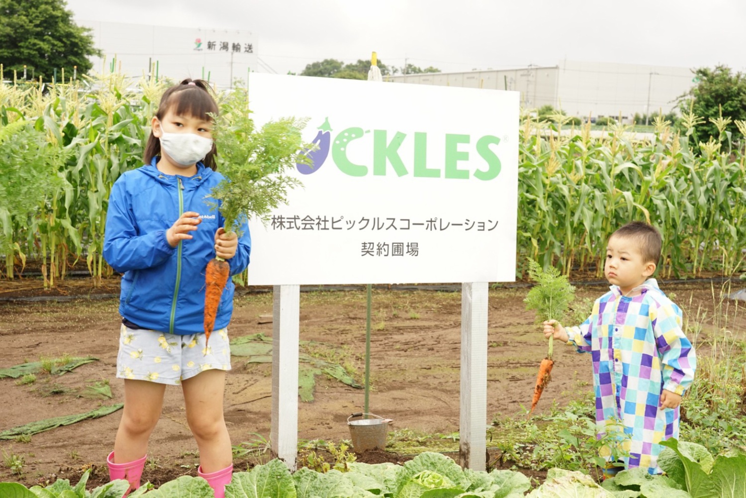 子ども食堂を通じた食育活動を実施しました