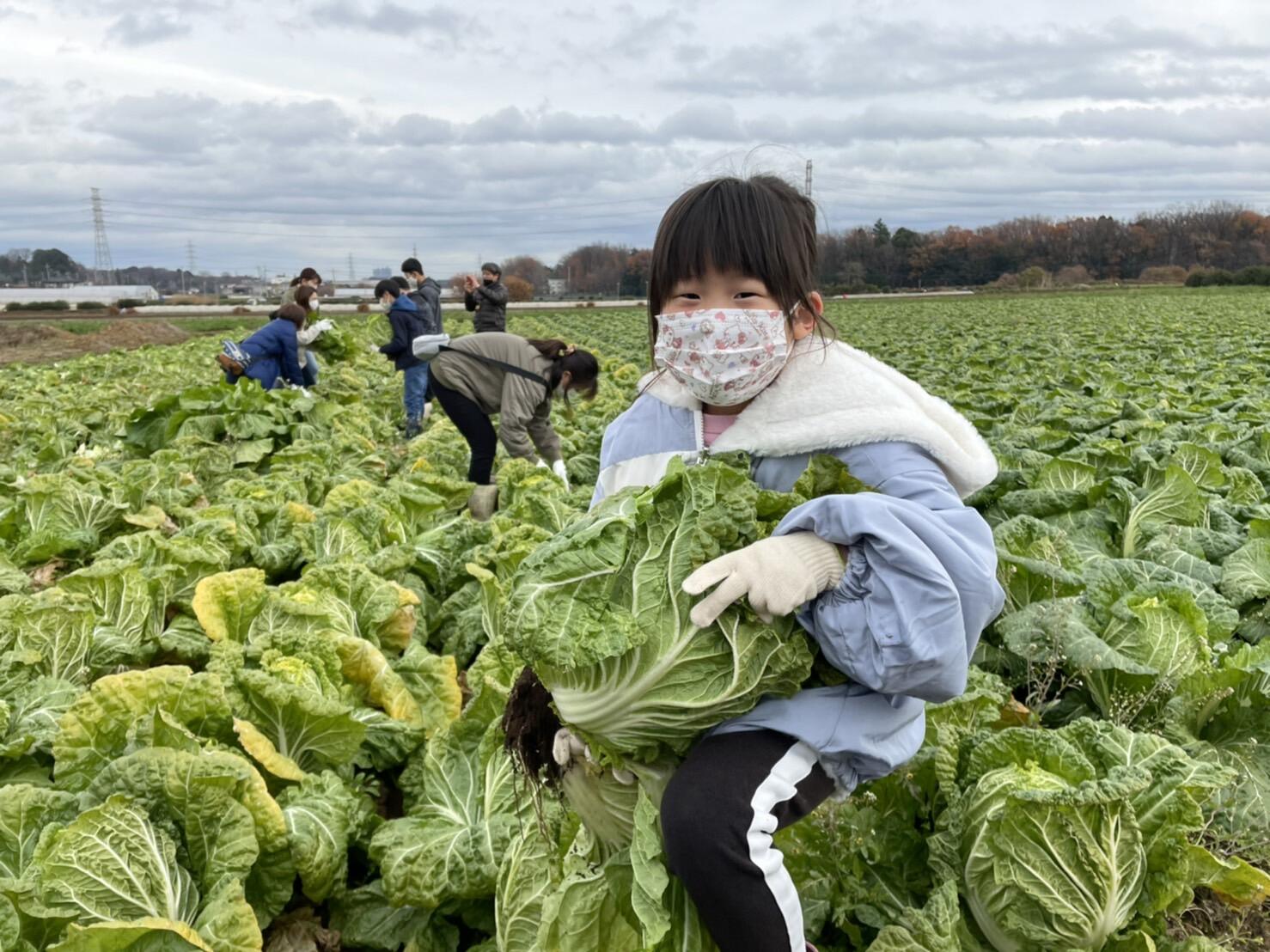 子ども食堂を通じた食育活動を実施しました