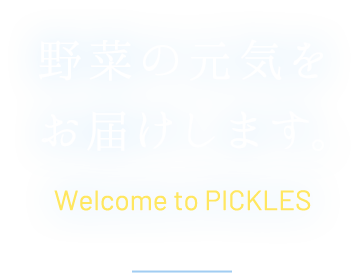 野菜の元気を、お届けします。