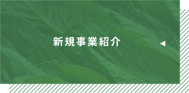 新規事業紹介