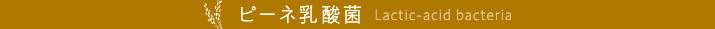 250528_title_03.png