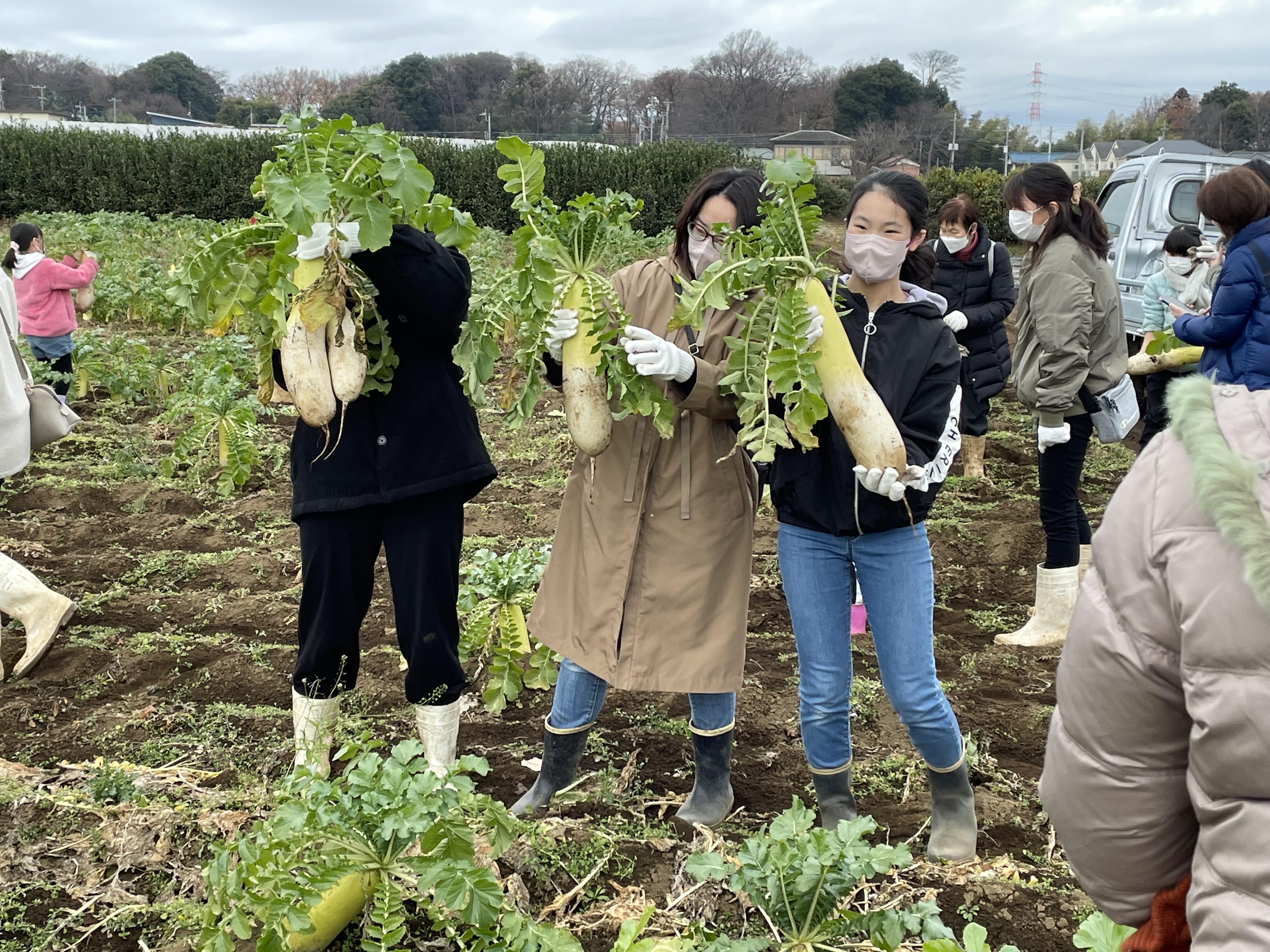 子ども食堂・収穫（221217-⑲）.JPG